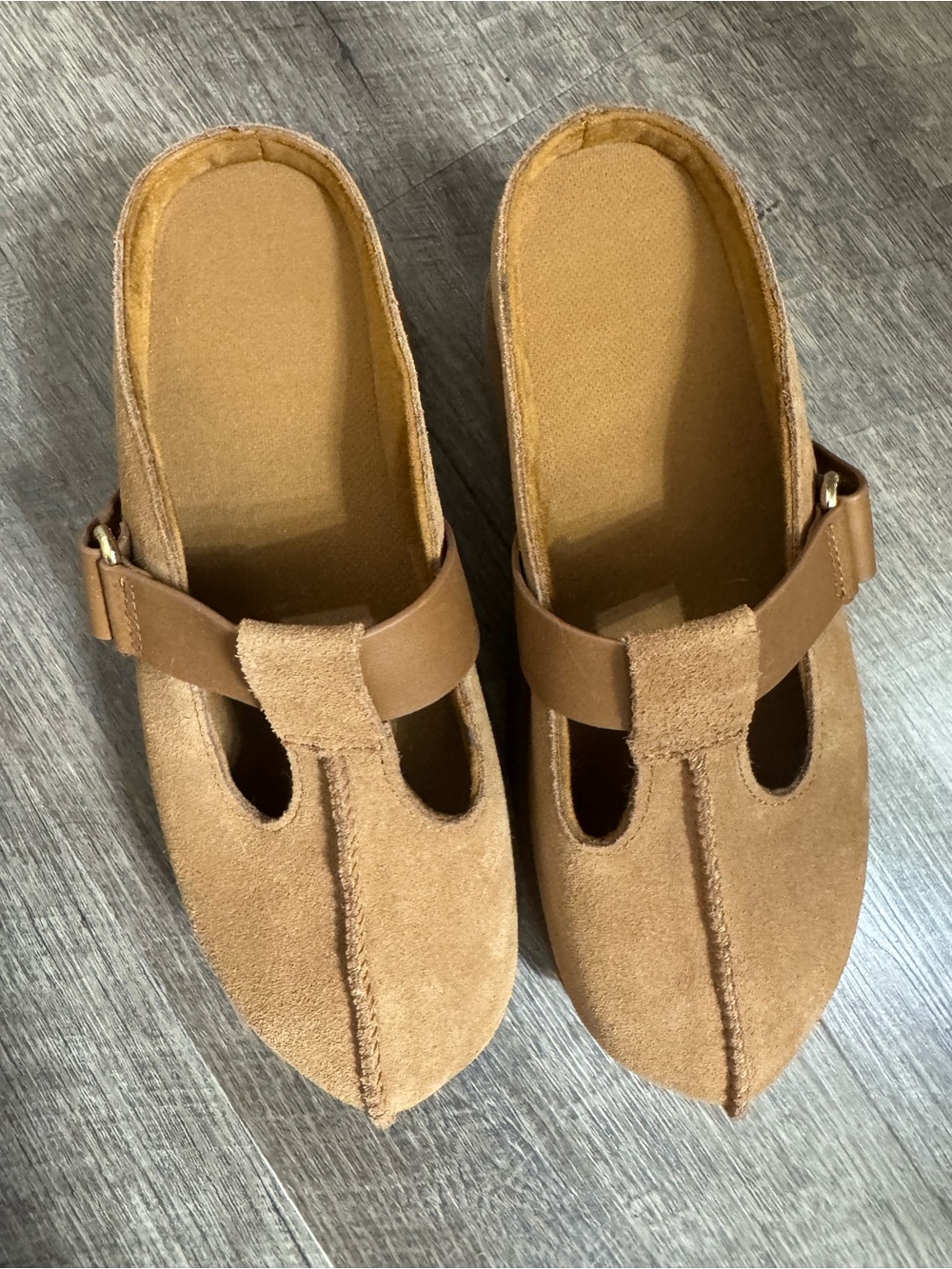 UGG Women's Suede Mule Clogs in Tan Brown